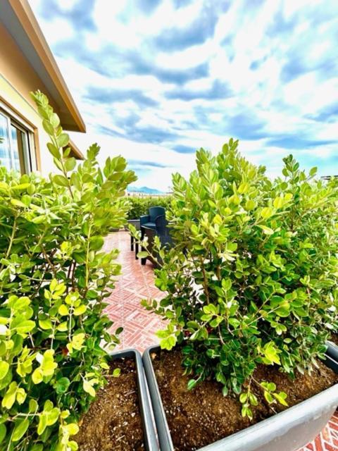 ميلاتسو Aqua B&B - Rooms And Apartments المظهر الخارجي الصورة